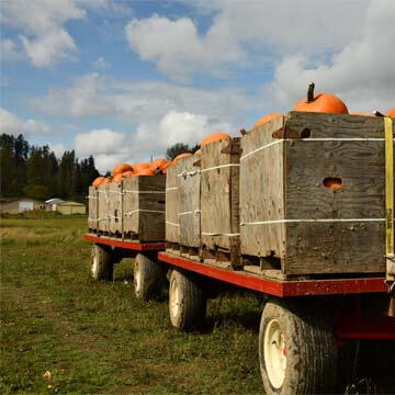 Logistic & Transport